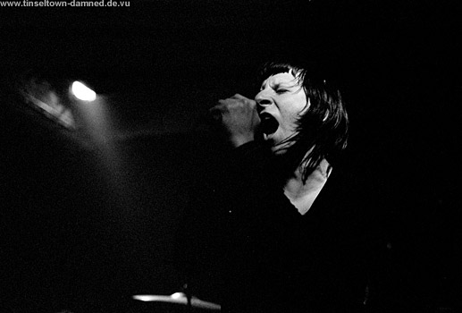 The 244gl konzertfotos