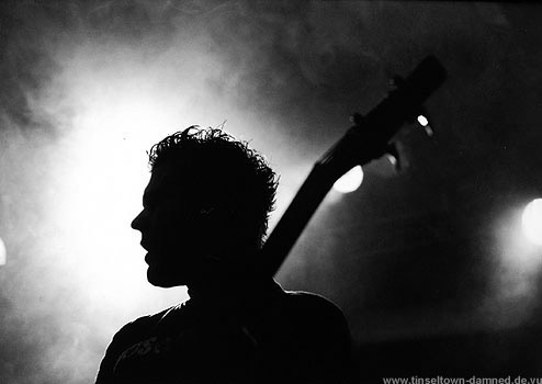 chefdenker konzertfotos
