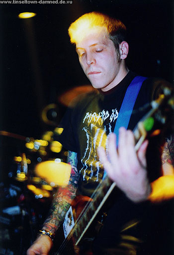 the holy mountain concert pics