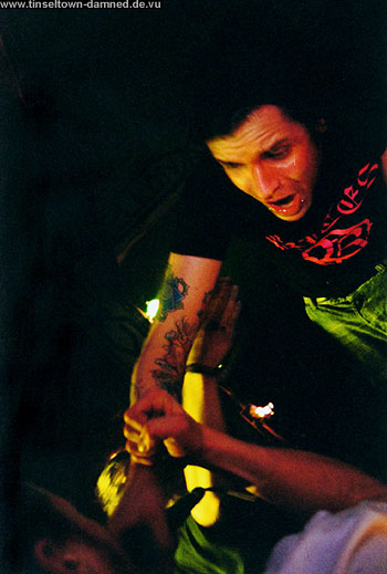 shut the fuck up konzertfotos