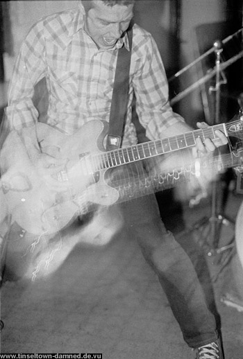 Old Growth live pics