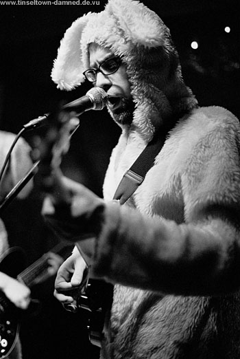 pete the pirate squid konzertfotos