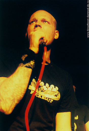 The Rats live pics