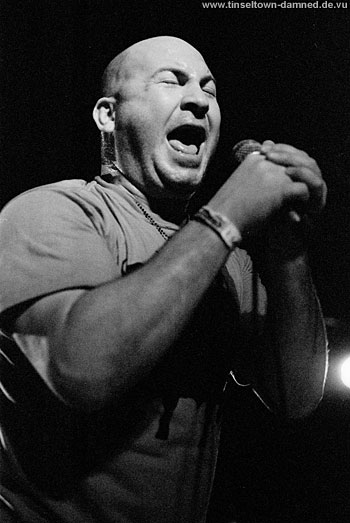 Samiam live pics
