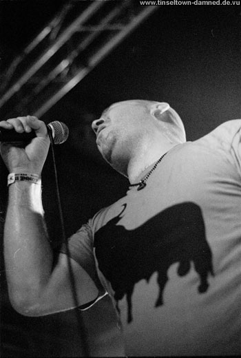 Samiam live pics