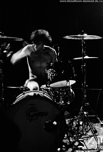 tangled lines konzertfotos